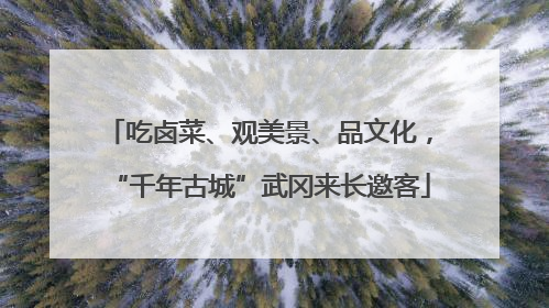 吃卤菜、观美景、品文化，“千年古城”武冈来长邀客