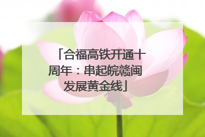 合福高铁开通十周年：串起皖赣闽发展黄金线