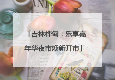 吉林桦甸：乐享嘉年华夜市焕新开市