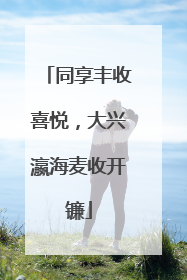 同享丰收喜悦，大兴瀛海麦收开镰