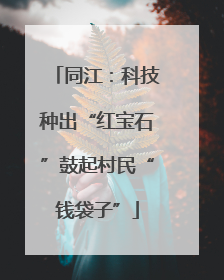 同江：科技种出“红宝石”鼓起村民“钱袋子”