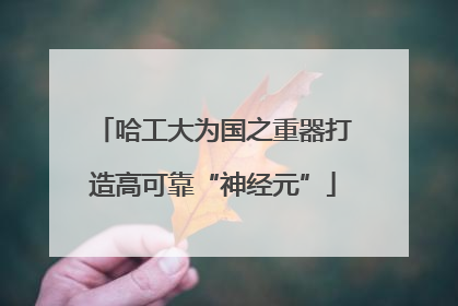 哈工大为国之重器打造高可靠“神经元”