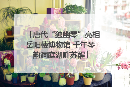 唐代“独幽琴”亮相岳阳楼博物馆 千年琴韵洞庭湖畔苏醒