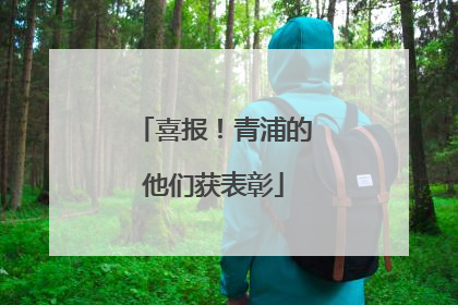 喜报！青浦的他们获表彰