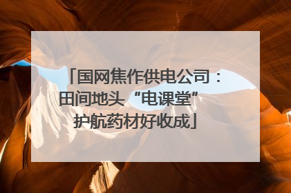 国网焦作供电公司：田间地头“电课堂” 护航药材好收成