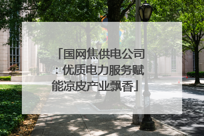 国网焦供电公司：优质电力服务赋能凉皮产业飘香