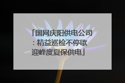 国网庆阳供电公司：精益巡检不停歇 迎峰度夏保供电
