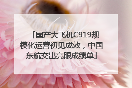 国产大飞机C919规模化运营初见成效，中国东航交出亮眼成绩单