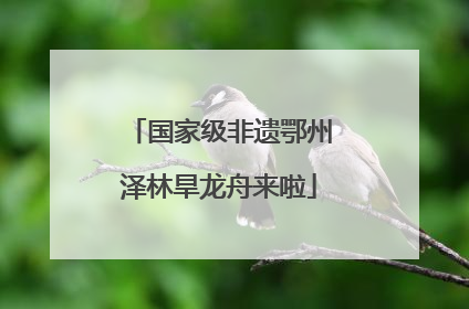 国家级非遗鄂州泽林旱龙舟来啦