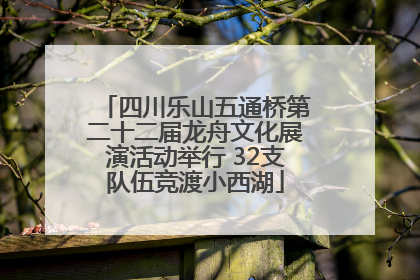 四川乐山五通桥第二十二届龙舟文化展演活动举行 32支队伍竞渡小西湖