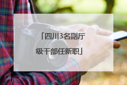 四川3名副厅级干部任新职