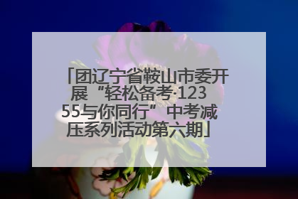团辽宁省鞍山市委开展“轻松备考·12355与你同行”中考减压系列活动第六期