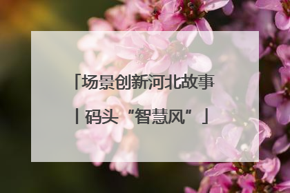 场景创新河北故事丨码头“智慧风”