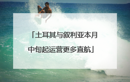 土耳其与叙利亚本月中旬起运营更多直航