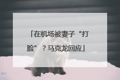 在机场被妻子“打脸”？马克龙回应