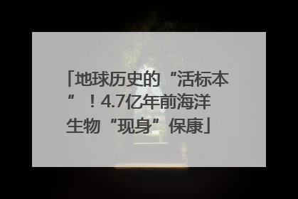 地球历史的“活标本”！4.7亿年前海洋生物“现身”保康