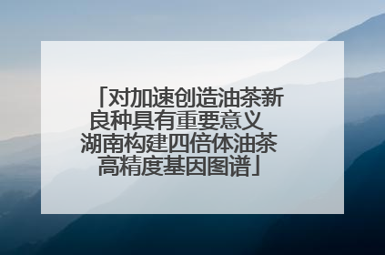 对加速创造油茶新良种具有重要意义 湖南构建四倍体油茶高精度基因图谱