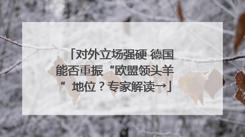对外立场强硬 德国能否重振“欧盟领头羊”地位？专家解读→