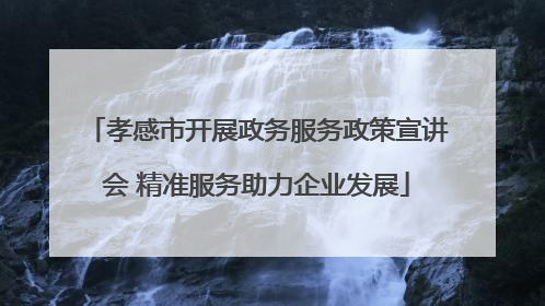 孝感市开展政务服务政策宣讲会 精准服务助力企业发展