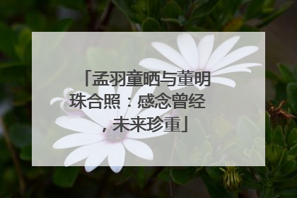 孟羽童晒与董明珠合照：感念曾经，未来珍重
