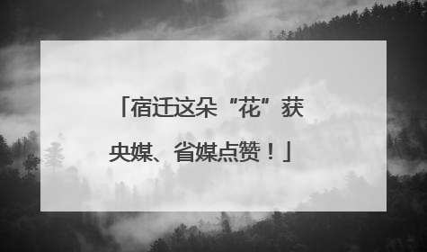 宿迁这朵“花”获央媒、省媒点赞！