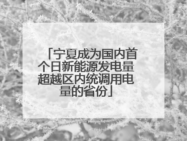 宁夏成为国内首个日新能源发电量超越区内统调用电量的省份