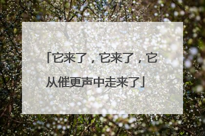 它来了，它来了，它从催更声中走来了