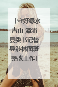 守好绿水青山 漳浦县委书记督导涉林图斑整改工作