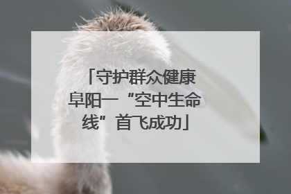 守护群众健康 阜阳一“空中生命线”首飞成功
