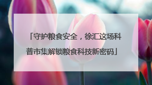 守护粮食安全，徐汇这场科普市集解锁粮食科技新密码