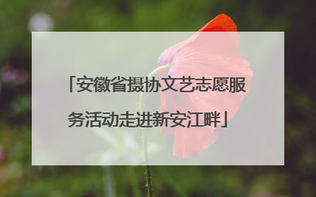安徽省摄协文艺志愿服务活动走进新安江畔