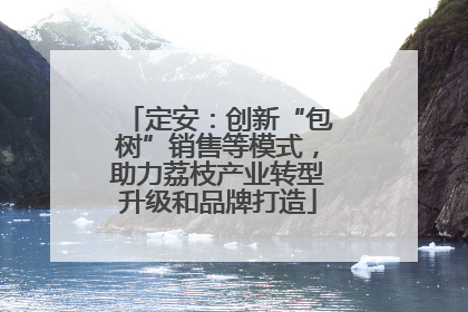 定安：创新“包树”销售等模式，助力荔枝产业转型升级和品牌打造