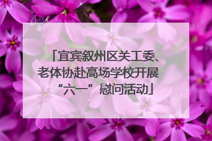 宜宾叙州区关工委、老体协赴高场学校开展“六一”慰问活动
