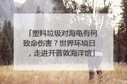 塑料垃圾对海龟有何致命伤害？世界环境日，走进开普敦海洋馆