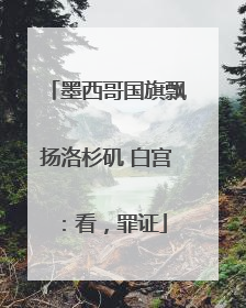 墨西哥国旗飘扬洛杉矶 白宫：看，罪证