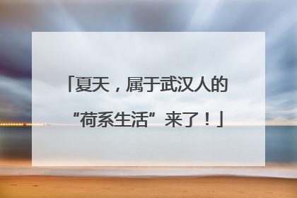 夏天，属于武汉人的“荷系生活”来了！