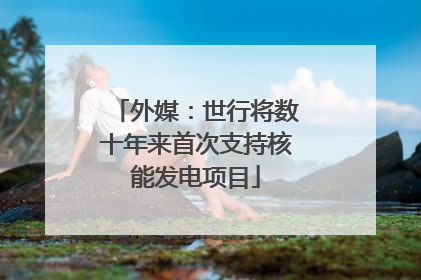 外媒：世行将数十年来首次支持核能发电项目