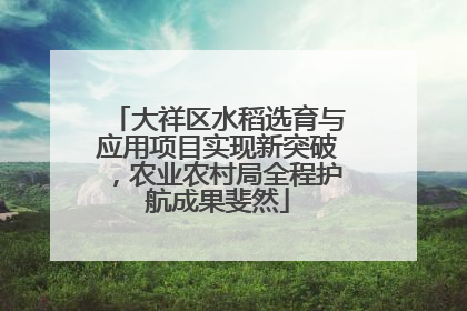 大祥区水稻选育与应用项目实现新突破，农业农村局全程护航成果斐然