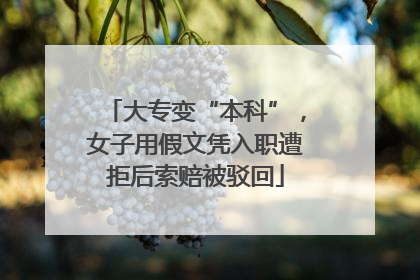 大专变“本科”，女子用假文凭入职遭拒后索赔被驳回