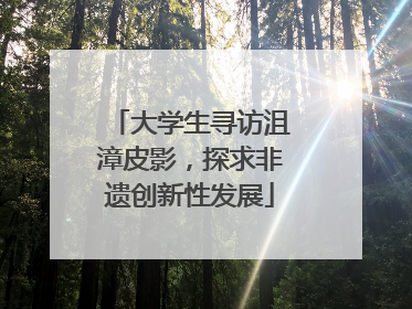 大学生寻访沮漳皮影，探求非遗创新性发展