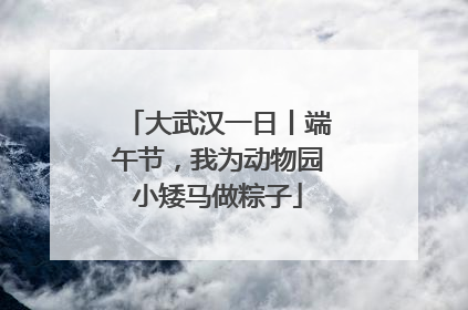大武汉一日丨端午节，我为动物园小矮马做粽子