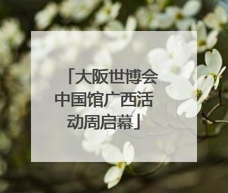 大阪世博会中国馆广西活动周启幕