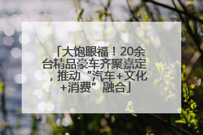 大饱眼福！20余台精品豪车齐聚嘉定，推动“汽车+文化+消费”融合