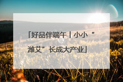 好品伴端午丨小小“潍艾”长成大产业