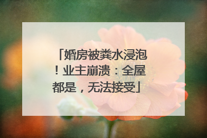 婚房被粪水浸泡！业主崩溃：全屋都是，无法接受