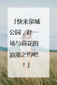 快来泉城公园，赴一场与荷花的浪漫之约吧！