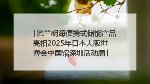 德兰明海便携式储能产品亮相2025年日本大阪世博会中国馆深圳活动周