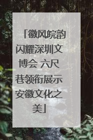 徽风皖韵闪耀深圳文博会 六尺巷领衔展示安徽文化之美