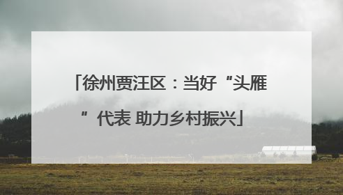 徐州贾汪区：当好“头雁”代表 助力乡村振兴
