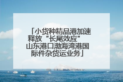 小货种精品港加速释放“长尾效应” 山东港口渤海湾港国际件杂货运业务